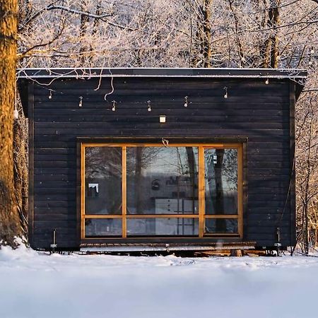 Beautiful Tiny House On The Lake Side. Trakai Dış mekan fotoğraf